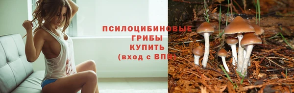 стафф Беломорск