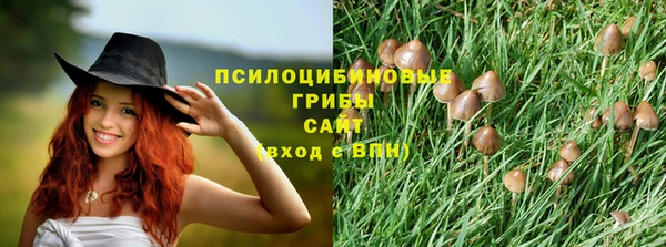 стафф Беломорск