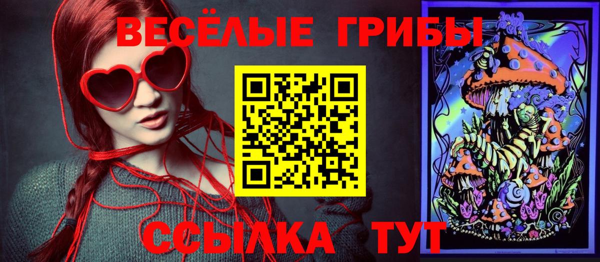 Псилоцибиновые грибы Psilocybine cubensis Сердобск